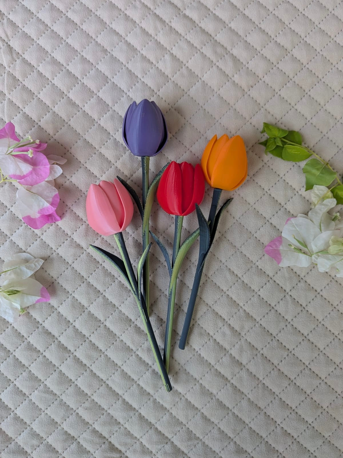 The Tulips