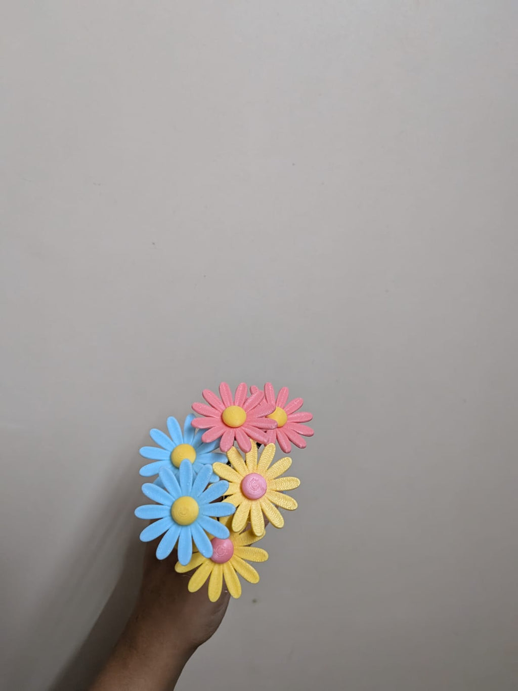 The Poppy