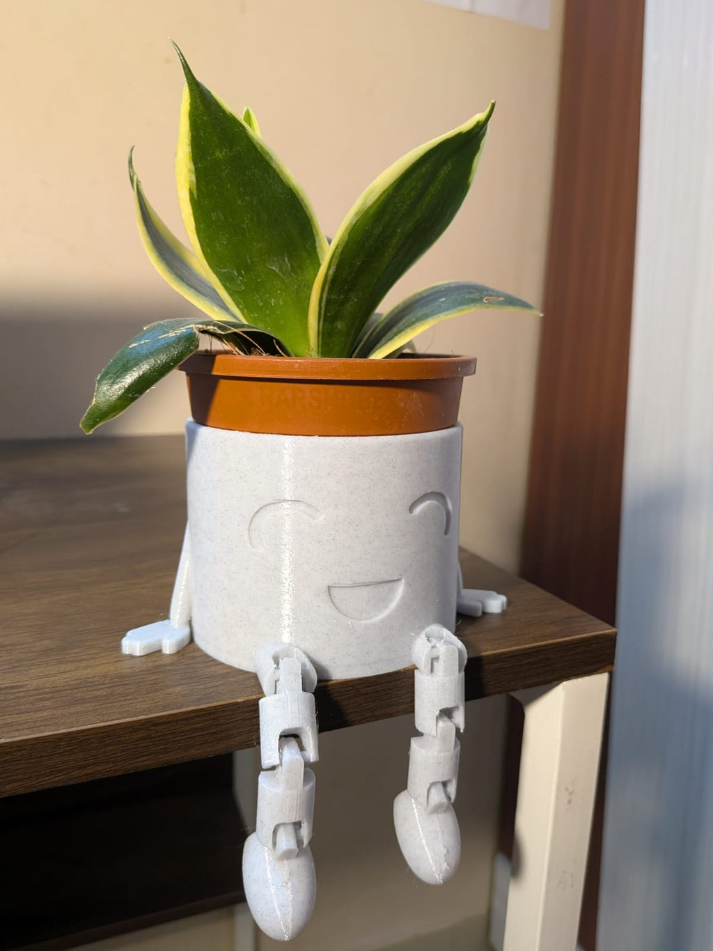 Mr Wiggles ( Vase/Planter)