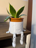 Mr Wiggles ( Vase/Planter)