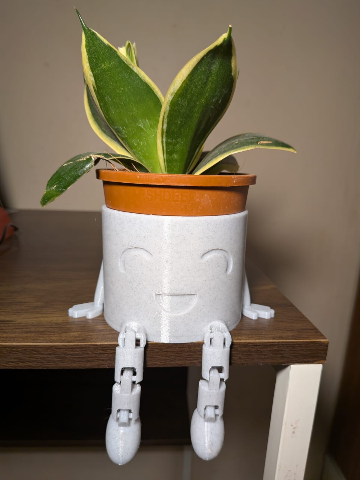 Mr Wiggles ( Vase/Planter)
